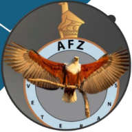 Airvets Investments Operations